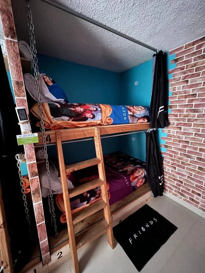 Hostel Dici Coliving Housing The Friends Room Cabo San Lucas Mexico